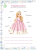 97225026fae447ad97db854197f489e8.png