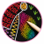 d14572fccbd7285858c4e48cc8cca8be.png